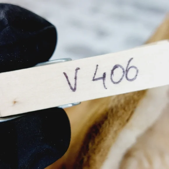 Ugg Dandelion Chestnut Brown Suede Winter Ankle Boots V406 - Picture 10 of 10